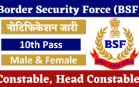 BSF Head Constable Recruitment 2024 Notification Out for 35+ Vacancies How To Apply Online