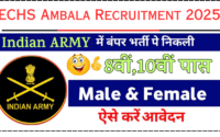 ECHS Ambala Recruitment 2025 Notification » Peon, Safaiwala, Female Attendant, Clerk/DEO Posts | Free Application Form