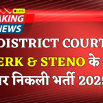 District Court Ferozepur Clerk Recruitment 2025 - Apply Offline for 47 Stenographer Grade III Posts