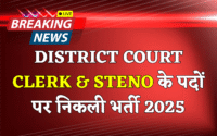 District Court Ferozepur Clerk Recruitment 2025 - Apply Offline for 47 Stenographer Grade III Posts District Court Ferozepur Clerk Recruitment 2025 - Apply Offline for 47 Stenographer Grade III Posts