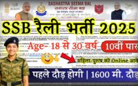SSB Constable Recruitment 2025 Notification | 480+ Posts, Apply Online