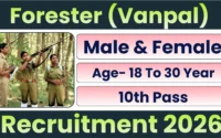 Rajasthan Vanpal Recruitment 2026 » Notification Out For 250 Post | Apply Online